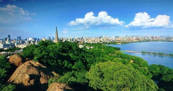 學(xué)習(xí)國外苗木行業(yè)經(jīng)驗(yàn)，搶先了解國內(nèi)市場動(dòng)態(tài)