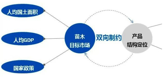 學(xué)習(xí)國外苗木行業(yè)經(jīng)驗(yàn)，搶先了解國內(nèi)市場動(dòng)態(tài)